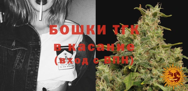 винт Аркадак