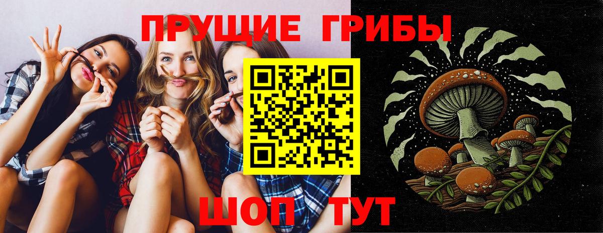 Псилоцибиновые грибы MAGIC MUSHROOMS  Вход с VPN  Белово 