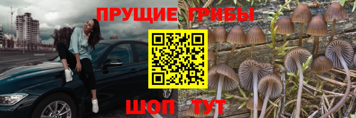 Псилоцибиновые грибы ЛСД Белово